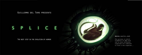 Splice promoción 1